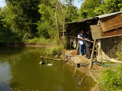 Pond beside a small wooden building