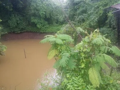 View of a pond beside a wooded bank