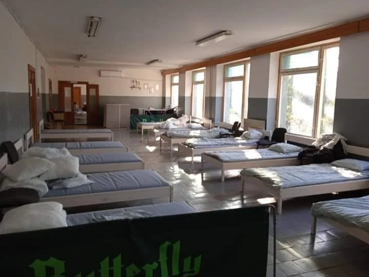 Rows of beds inside a large room