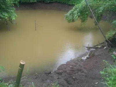 Pond with muddy water and trees along the bank
