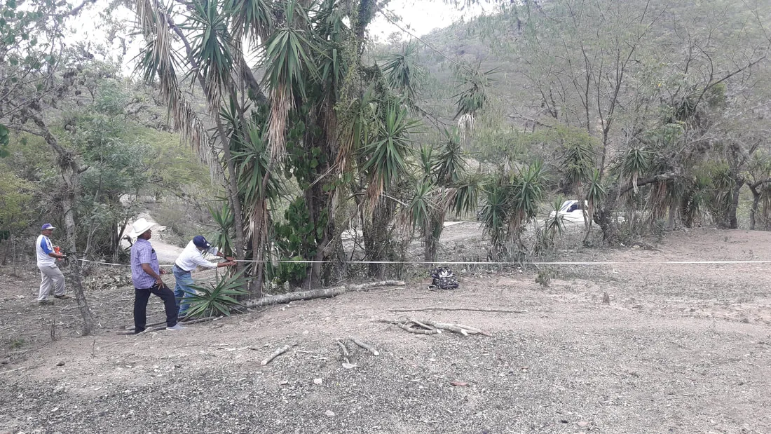 People walking beside trees in a dry landscape
